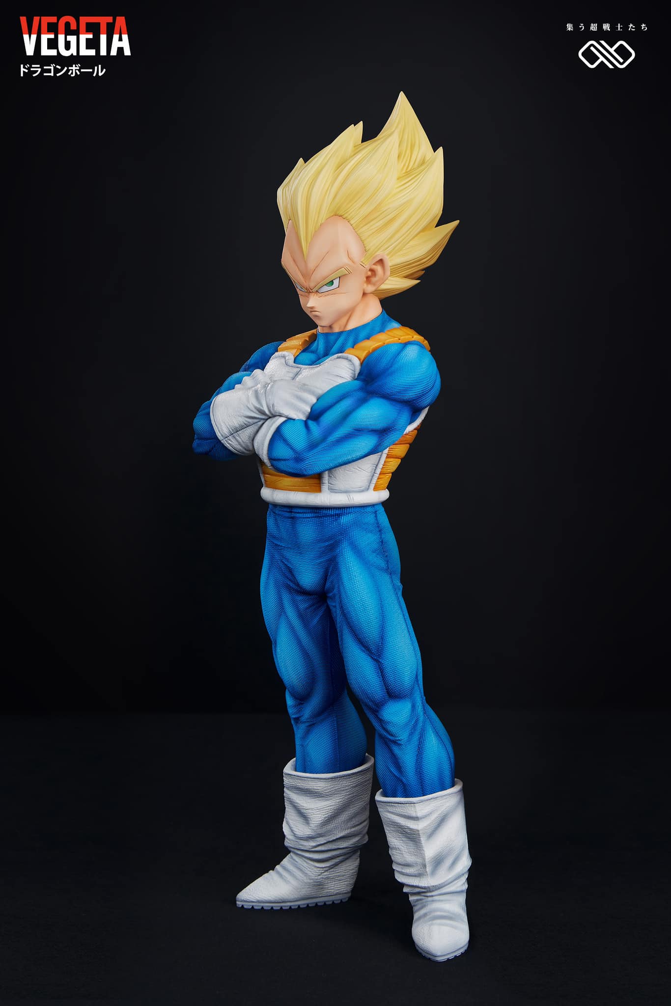 Vegeta - Dragon Ball - Infinite Studio