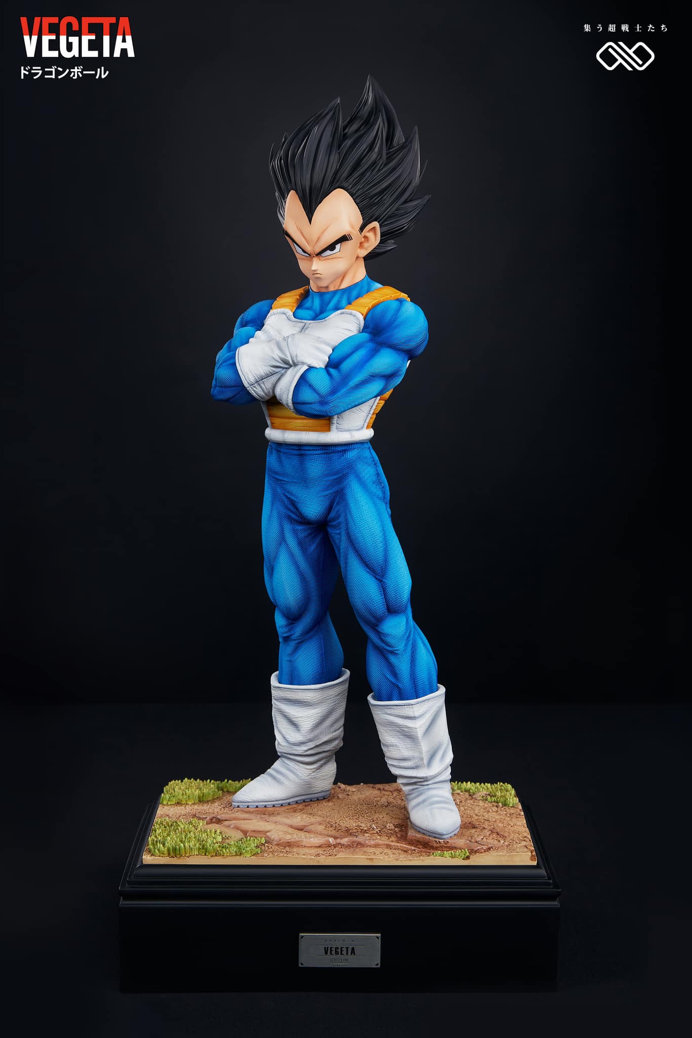 Vegeta - Dragon Ball - Infinite Studio - Image 6