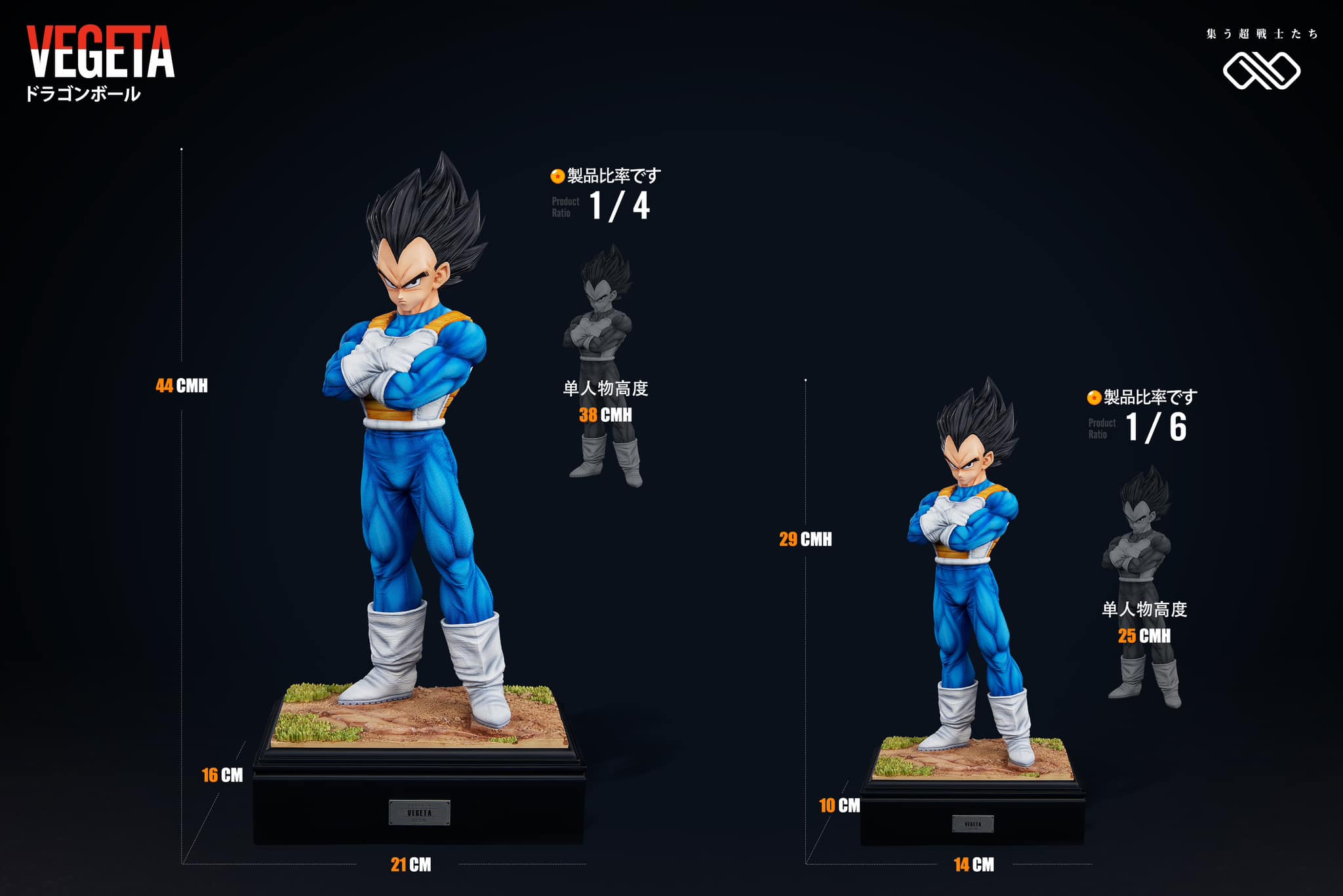 Vegeta - Dragon Ball - Infinite Studio - Image 9