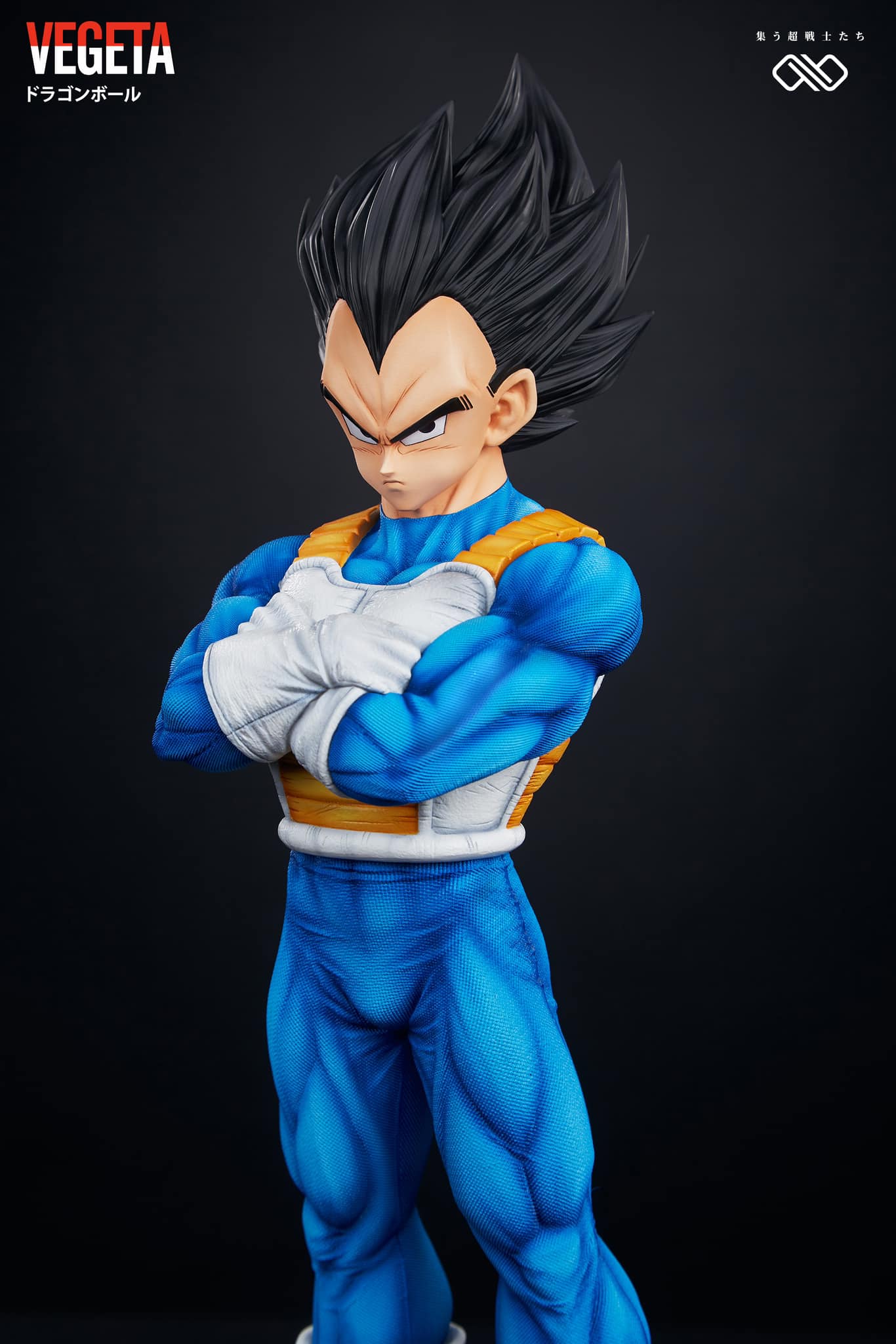 Vegeta - Dragon Ball - Infinite Studio - Image 10