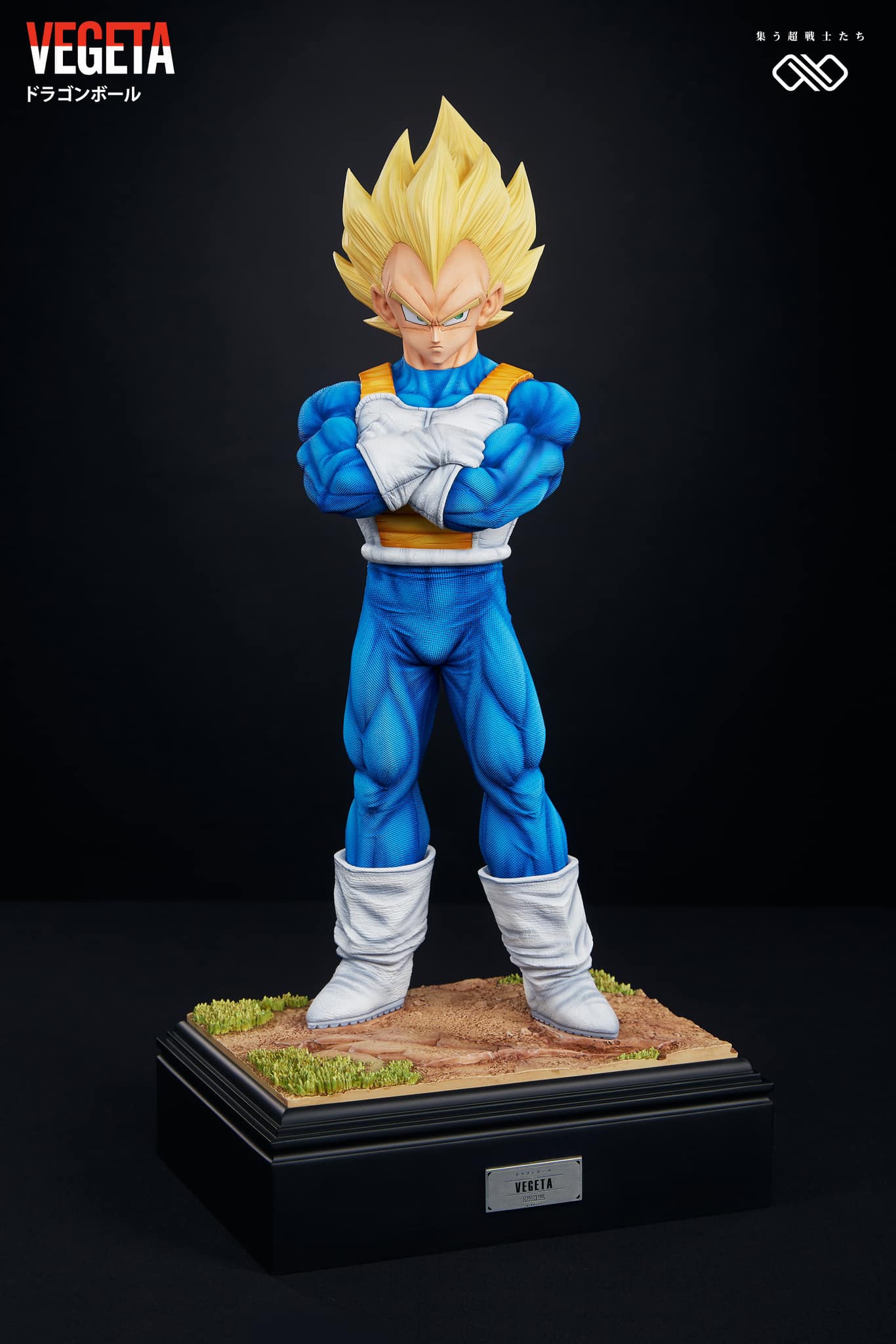 Vegeta - Dragon Ball - Infinite Studio - Image 11