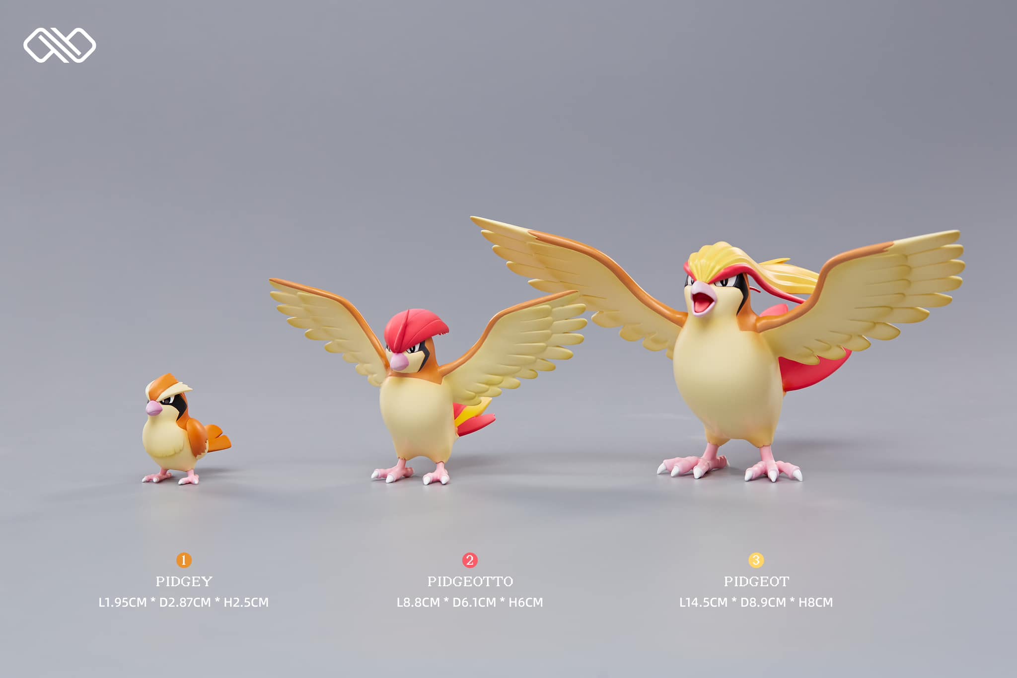 Pidgey Evolution Line - Pokemon - Infinite Studio - Image 4
