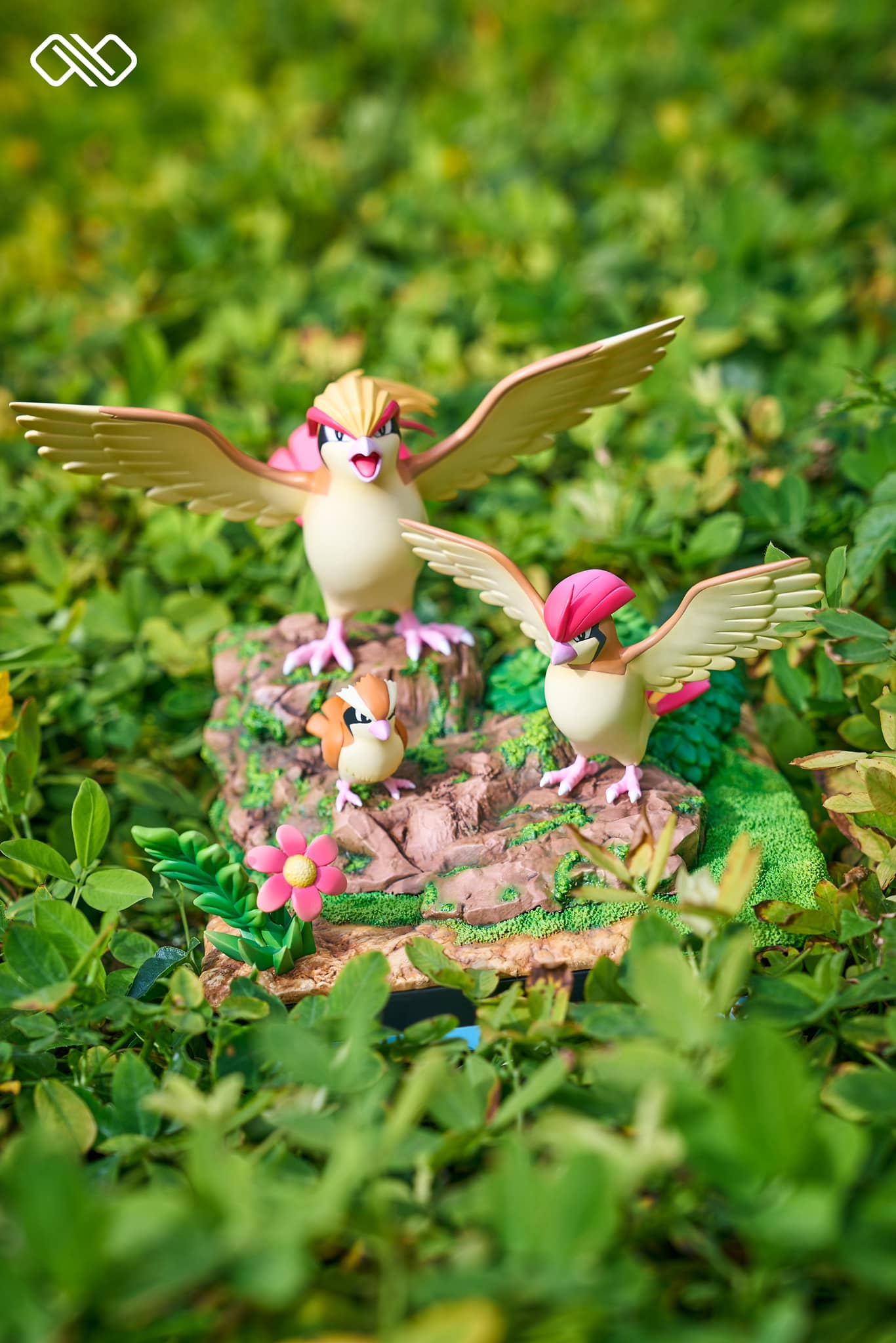 Pidgey Evolution Line - Pokemon - Infinite Studio - Image 2