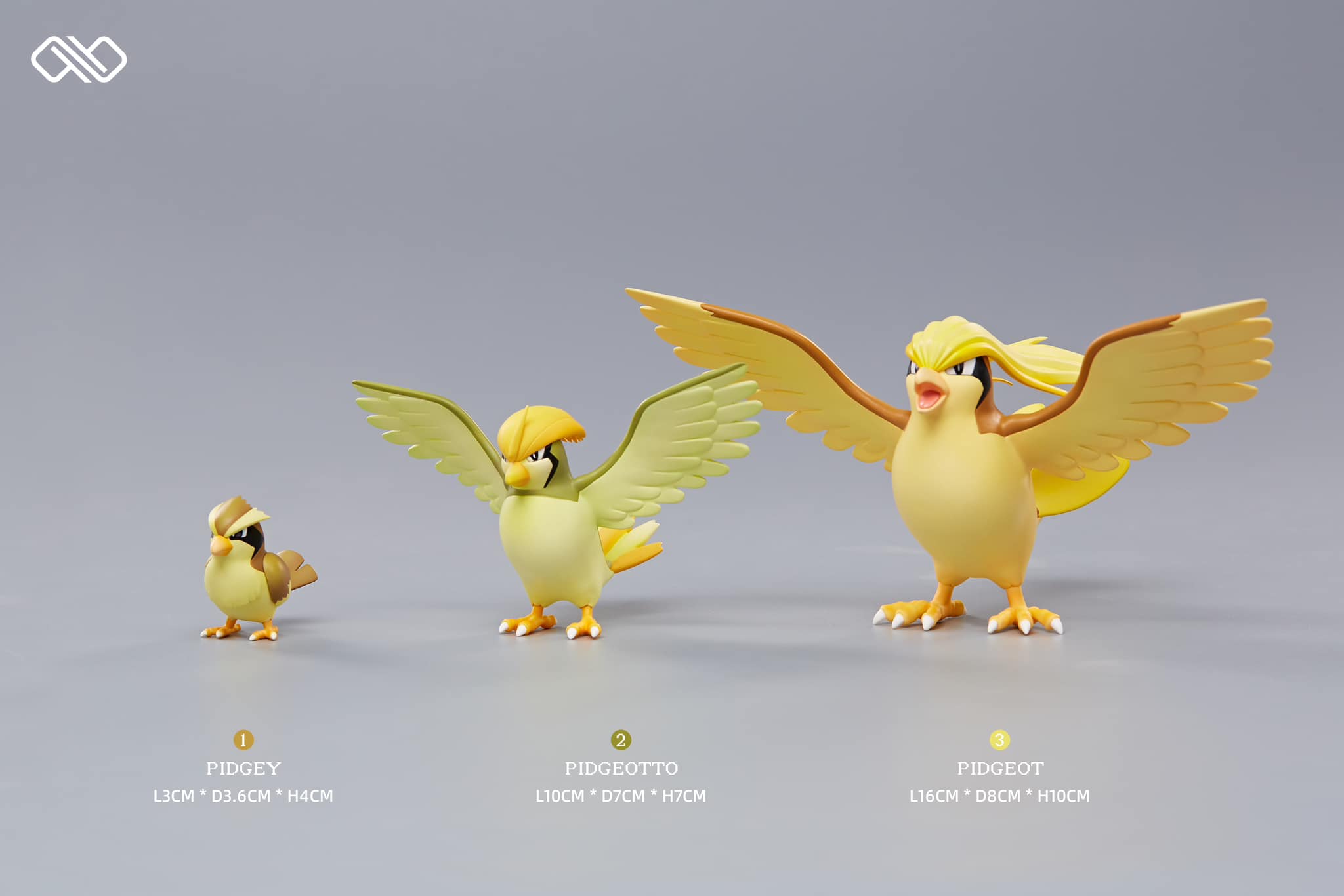 Pidgey Evolution Line - Pokemon - Infinite Studio - Image 3