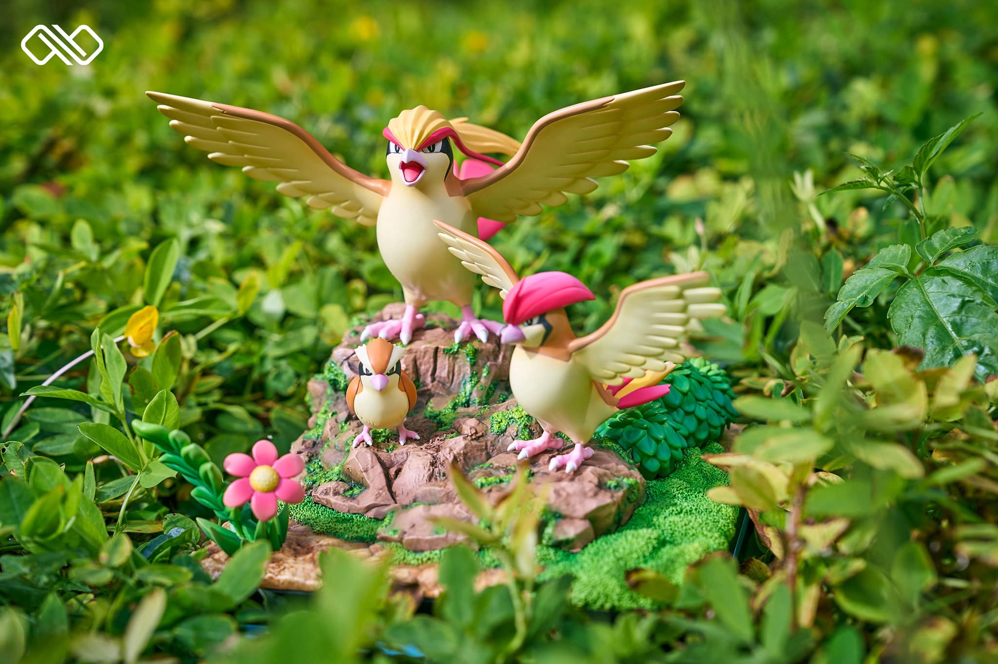 Pidgey Evolution Line - Pokemon - Infinite Studio
