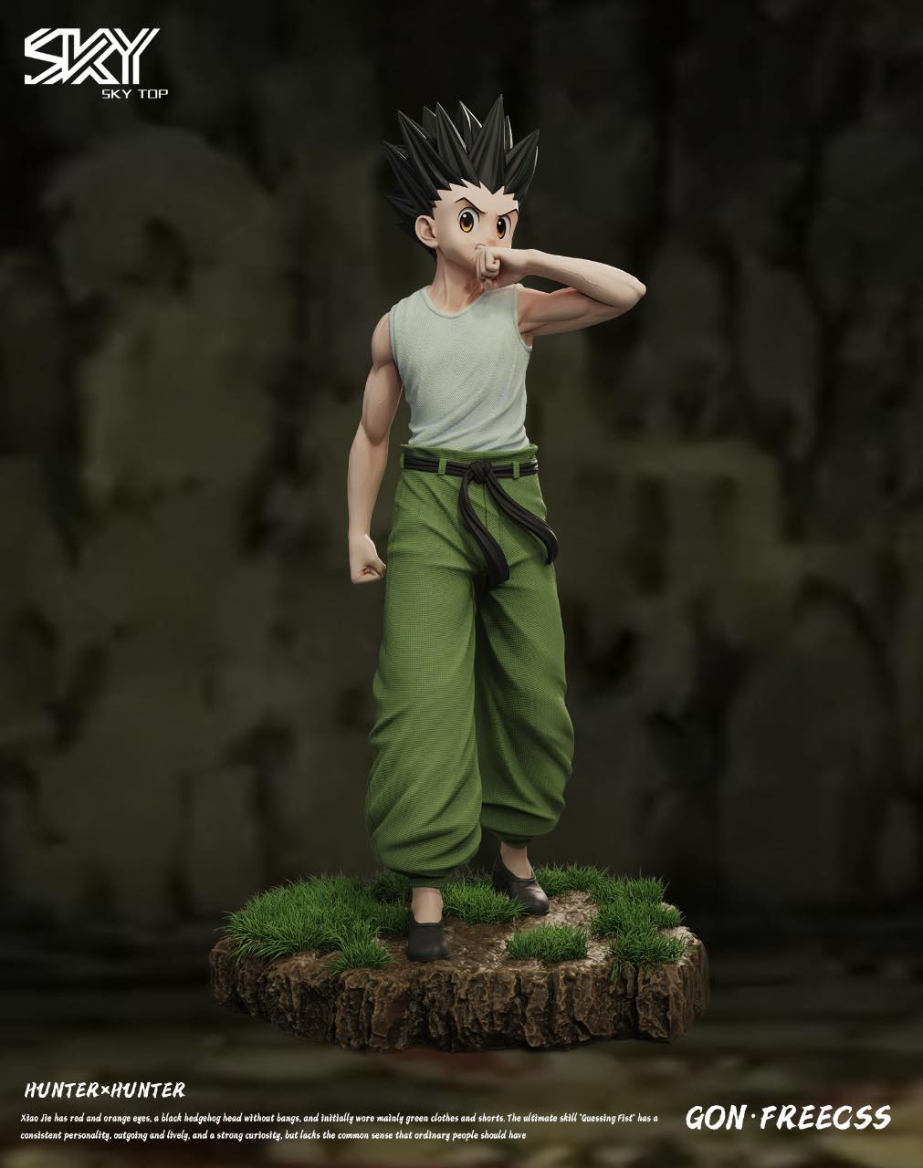 Gon Freecss - Hunter x Hunter - Sky Top Studio